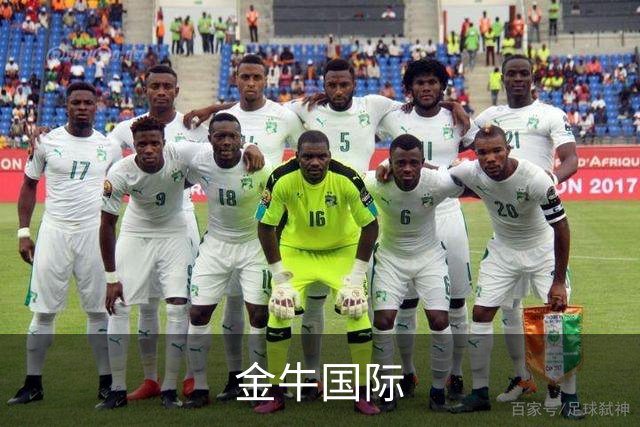 金牛国际公司介绍图